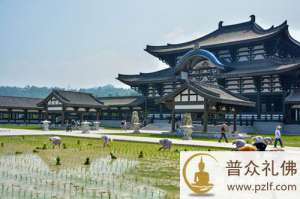 坐卧不知元是道,只么忙忙受苦