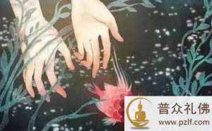 如果没有条件放生,可以用这些