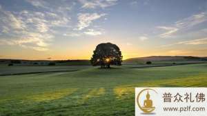 如此行去,何不得力之有